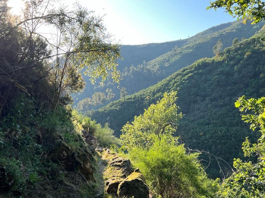 Casa Do Sol - Natureza & Lazer - Serra Da Freita Arouca Eksteriør bilde